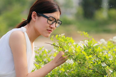 日批直播功能展示